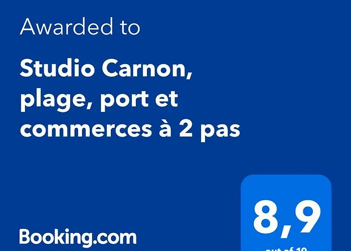 Studio Carnon, Plage, Port Et Commerces A 2 Pas